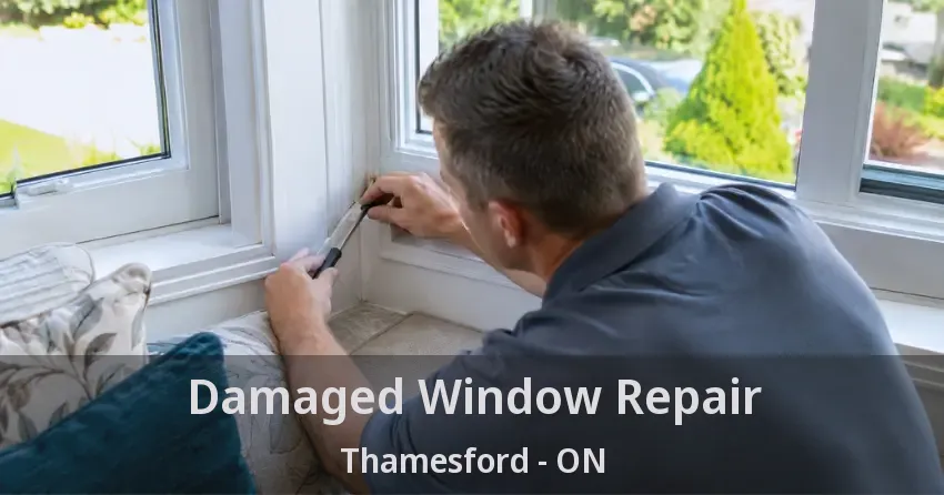 Damaged Window Repair Thamesford - ON