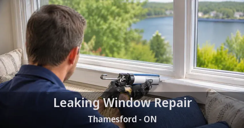 Leaking Window Repair Thamesford - ON